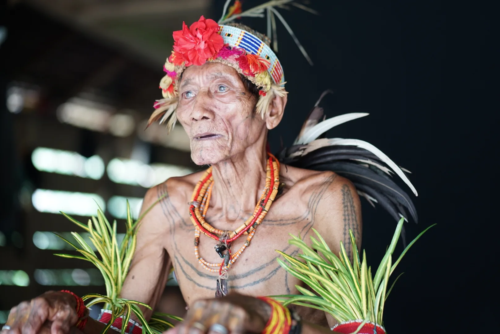 Mentawai Tour journey photograph 090