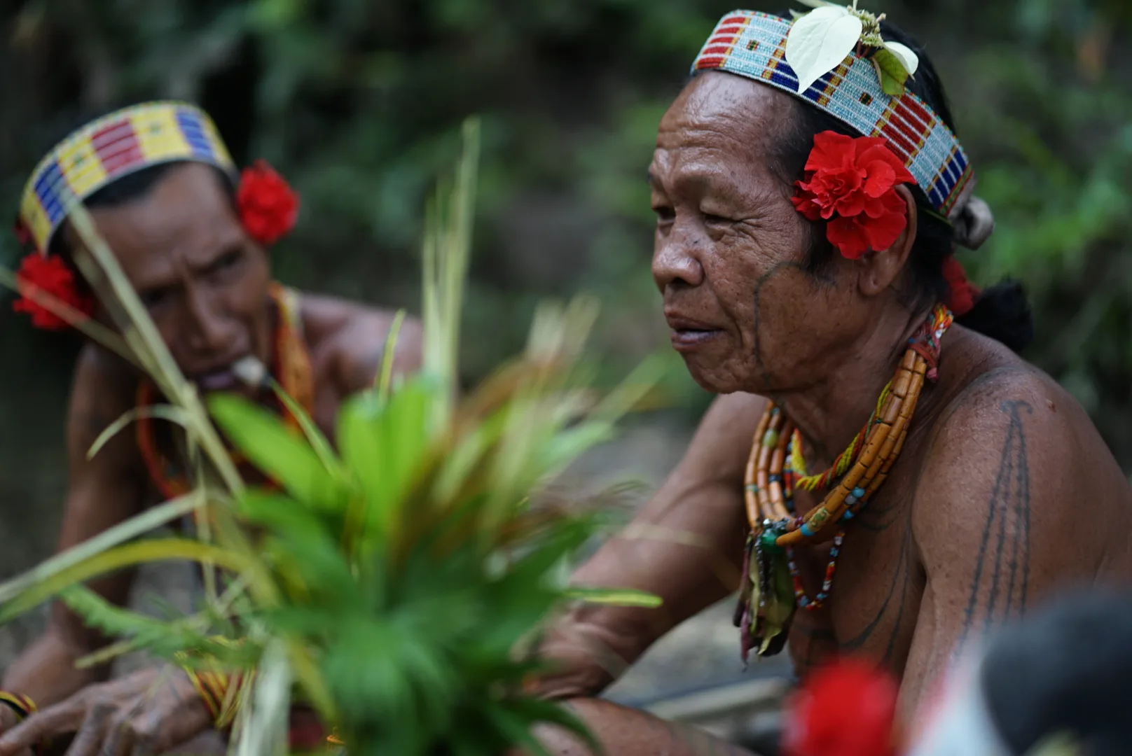 Mentawai Tour journey photograph 096