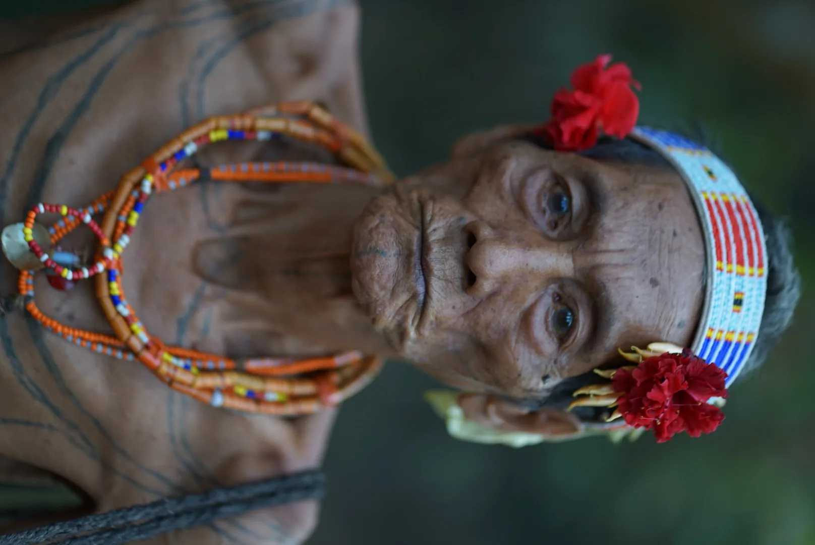 Mentawai Tour journey photograph 101
