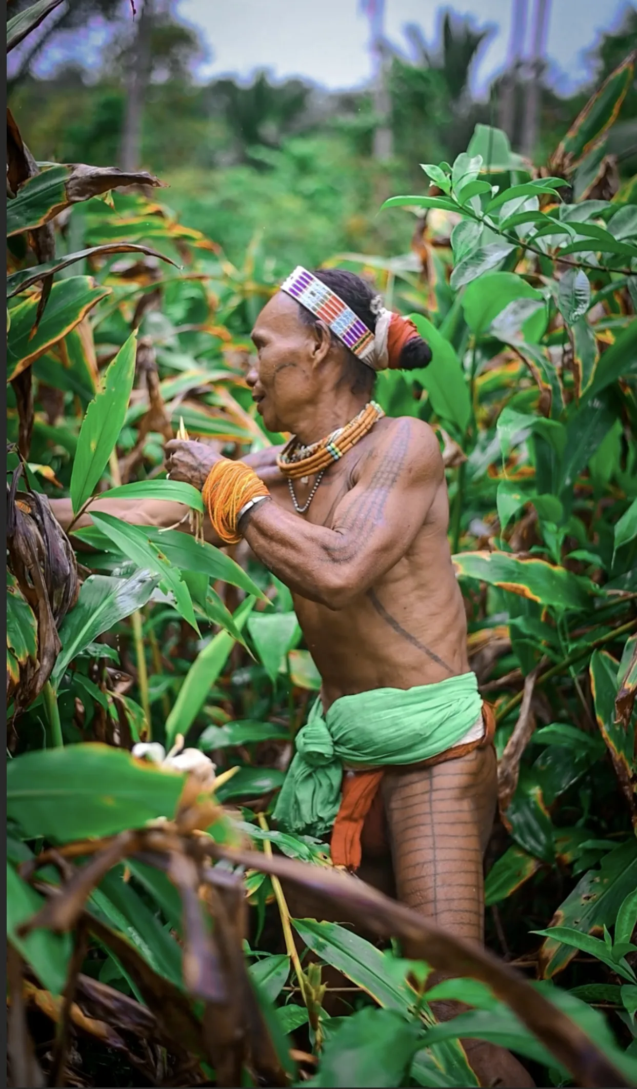 Mentawai Tour journey photograph 103