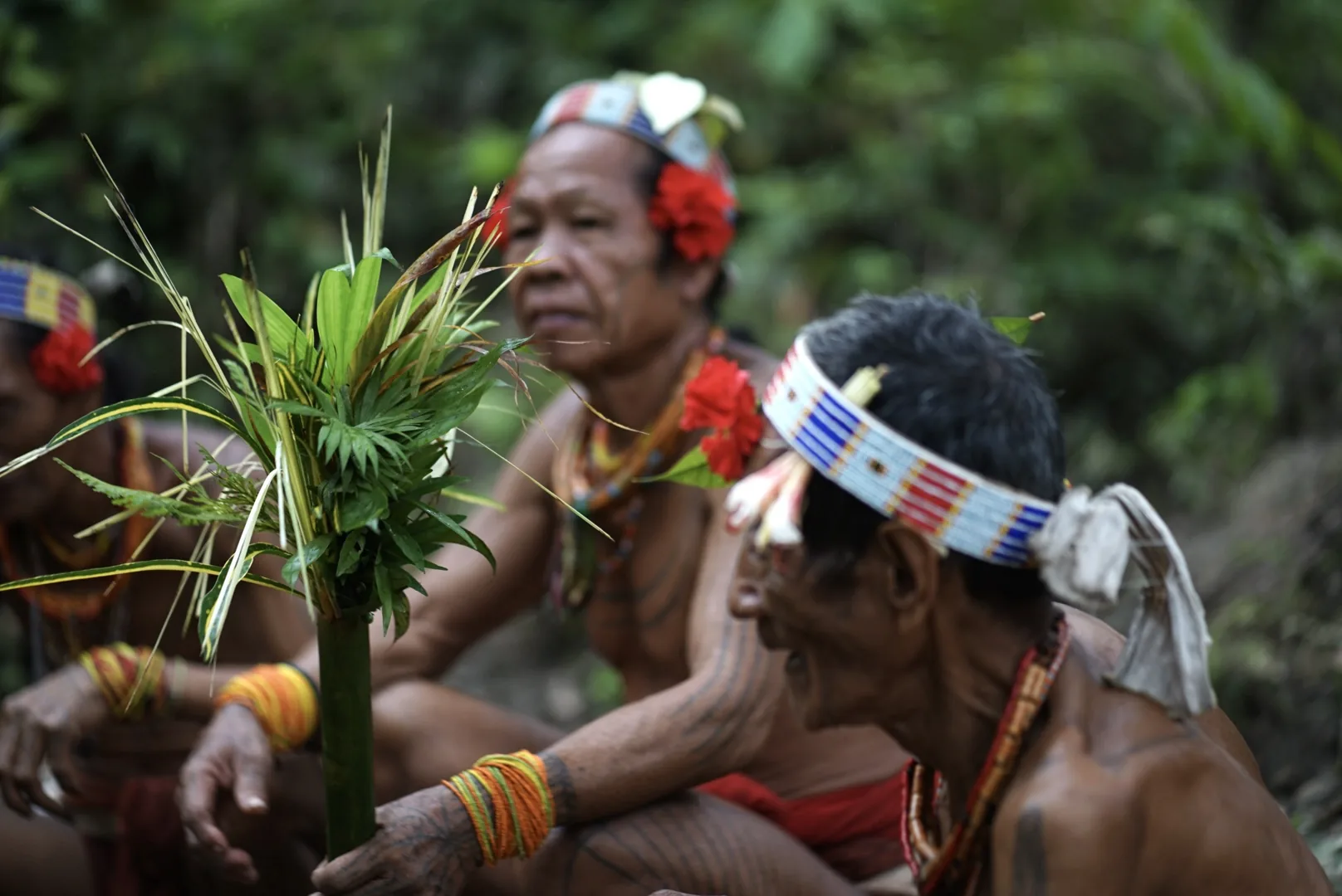 Mentawai cultural journey in the rainforest