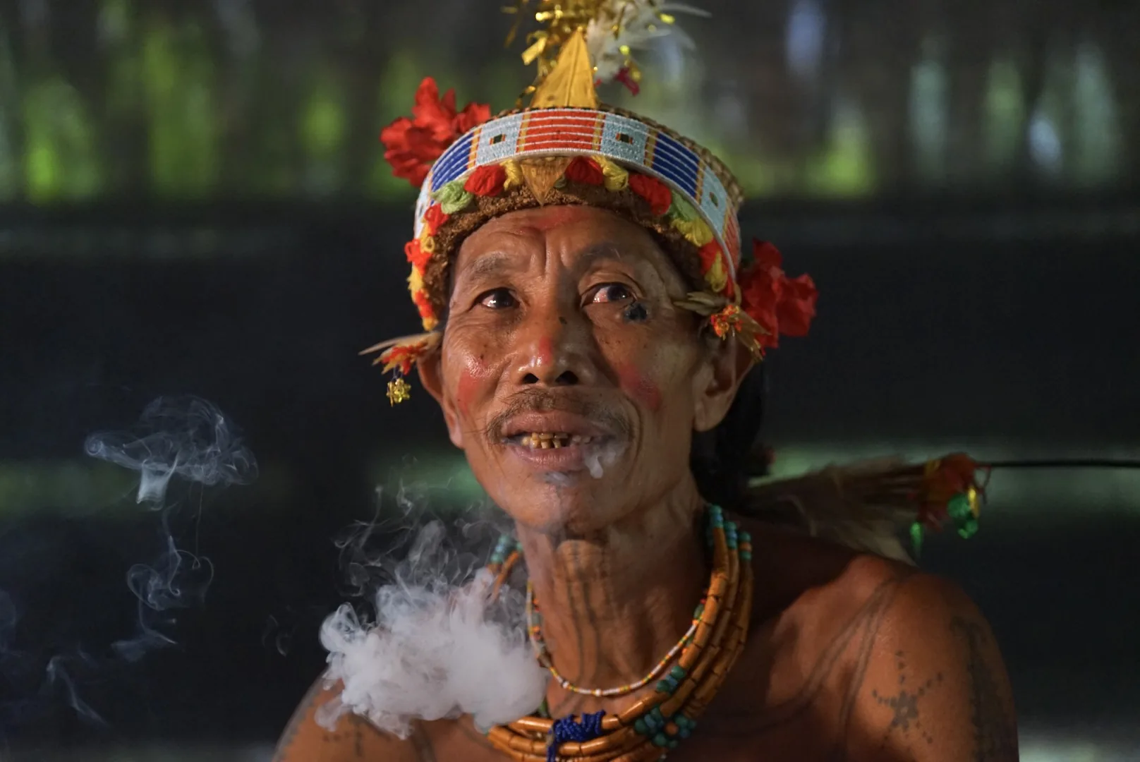 Mentawai jungle and cultural experience